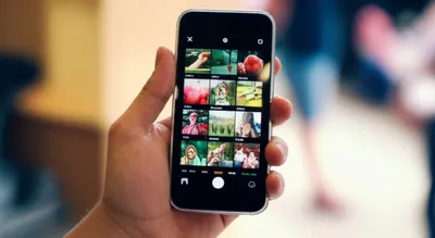 Illustration g - Image 1