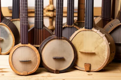 Illustration banjos - Image 1