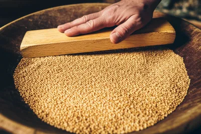 Illustration strake - Image 1