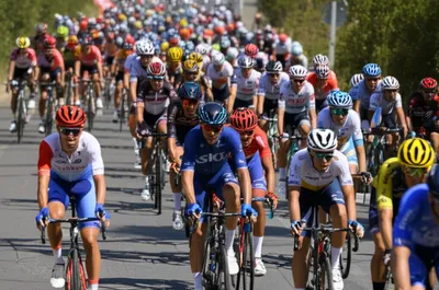 Illustration peloton - Image 1