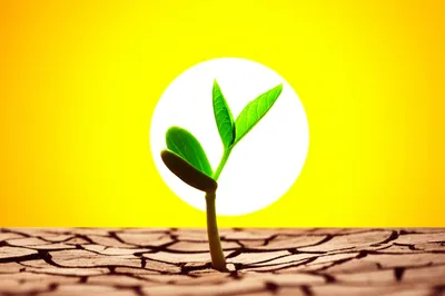 Illustration rises - Image 1