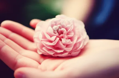 Illustration fondling - Image 1