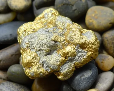 Illustration electrum