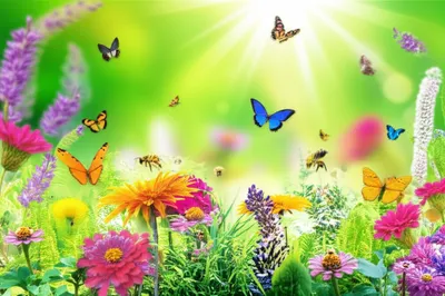 Illustration booming - Image 1