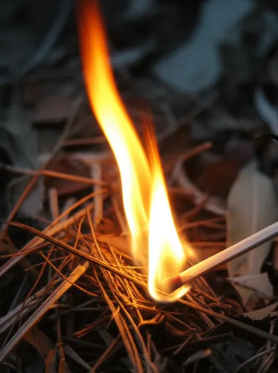 Illustration fires - Image 2