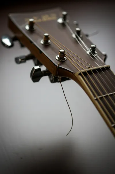 Illustration dropped - Image 1