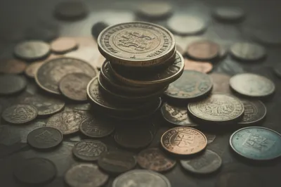 Illustration koruna - Image 1