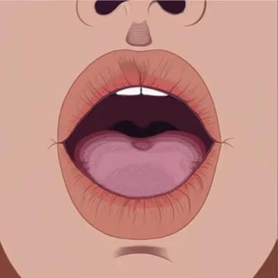 Illustration tannins