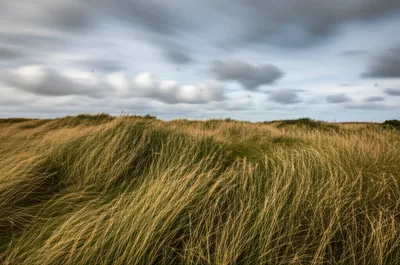 Illustration variable - Image 1