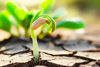 Illustration prove - Image 1