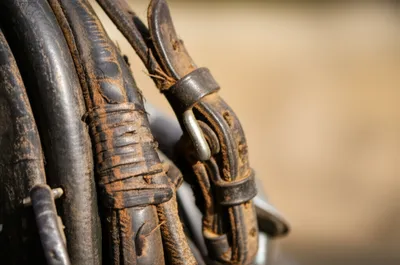 Illustration tugs - Image 1