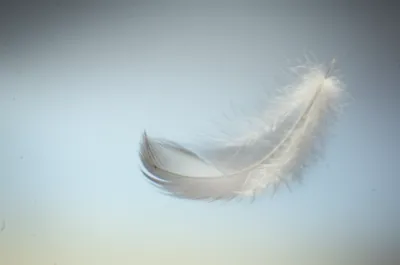 Illustration wavering - Image 1