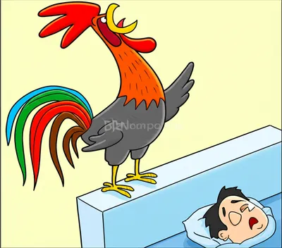 Illustration roost - Image 1