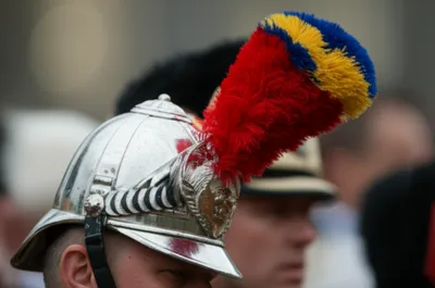 Illustration hackles - Image 1