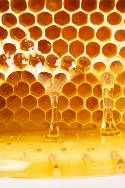 Illustration oozed - Image 1