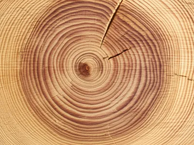 Illustration cherry - Image 1