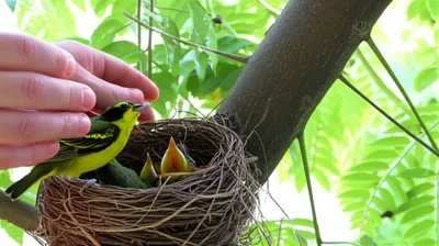 Illustration returned - Image 1