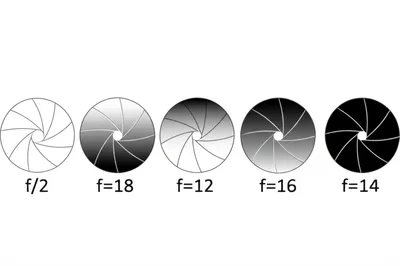 Illustration stop - Image 1