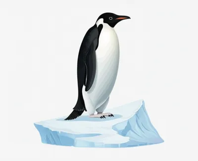 Illustration tails - Image 1