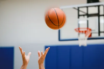 Illustration lob - Image 1