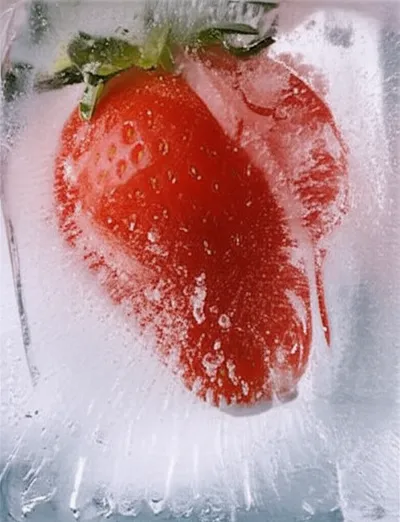 Illustration defrosted - Image 2