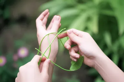 Illustration taking - Image 1