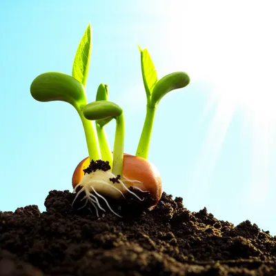 Illustration activating - Image 2