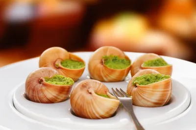 Illustration escargots