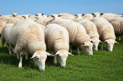 Illustration trend - Image 1