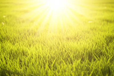 Illustration sun - Image 1