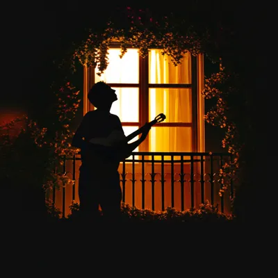 Illustration serenade - Image 1