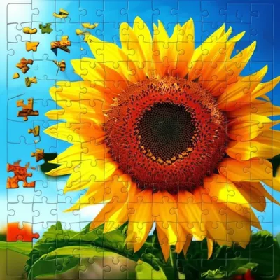 Illustration factors - Image 1