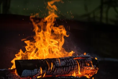 Illustration burns - Image 1