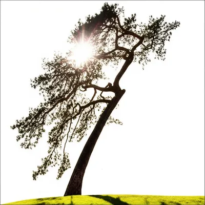 Illustration tends - Image 1