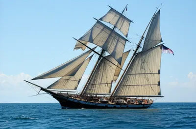 Illustration jammed - Image 1