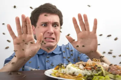 Illustration repulses - Image 1