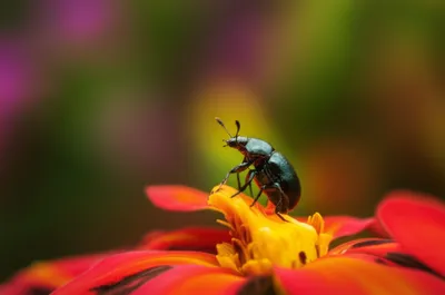 Illustration cocktails - Image 1