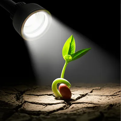 Illustration evinces - Image 1