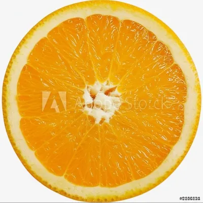 Illustration sections - Image 1