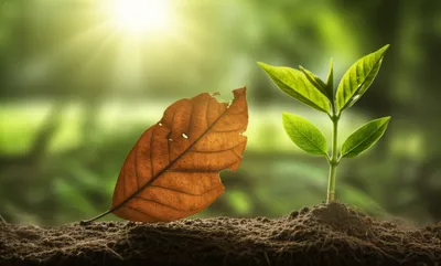 Illustration young - Image 1