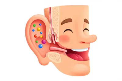 Illustration popped - Image 1