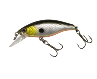 Illustration plug - Image 1