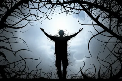 Illustration clear - Image 1