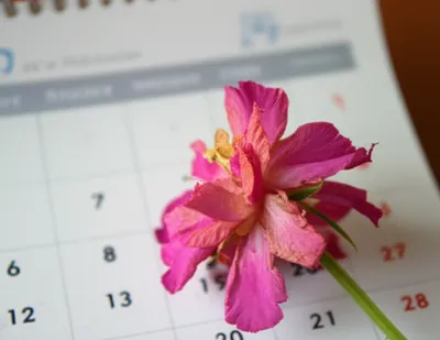 Illustration midweek - Image 1