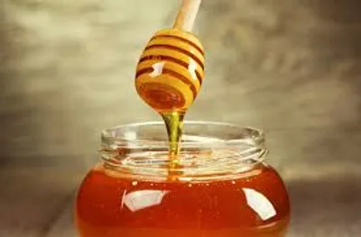 Illustration gummy - Image 2