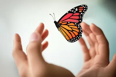 Illustration control - Image 1