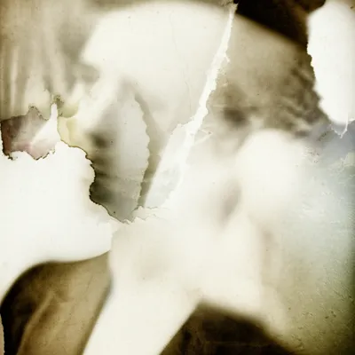 Illustration cobweb - Image 1