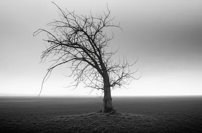 Illustration flat - Image 1