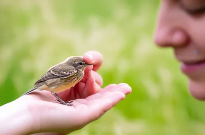 Illustration trusting - Image 1