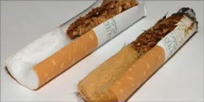 Illustration skin - Image 2